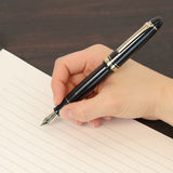 プロフィット 18 ゴールドトリム 万年筆