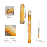 ヴェイリオ 万年筆