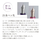 ヴェイリオ 万年筆 tone