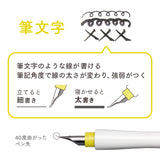 万年筆ペン先のつけペン hocoro 筆文字