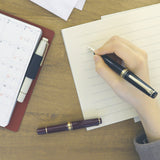 プロフェッショナルギア スリムミニ 金 万年筆