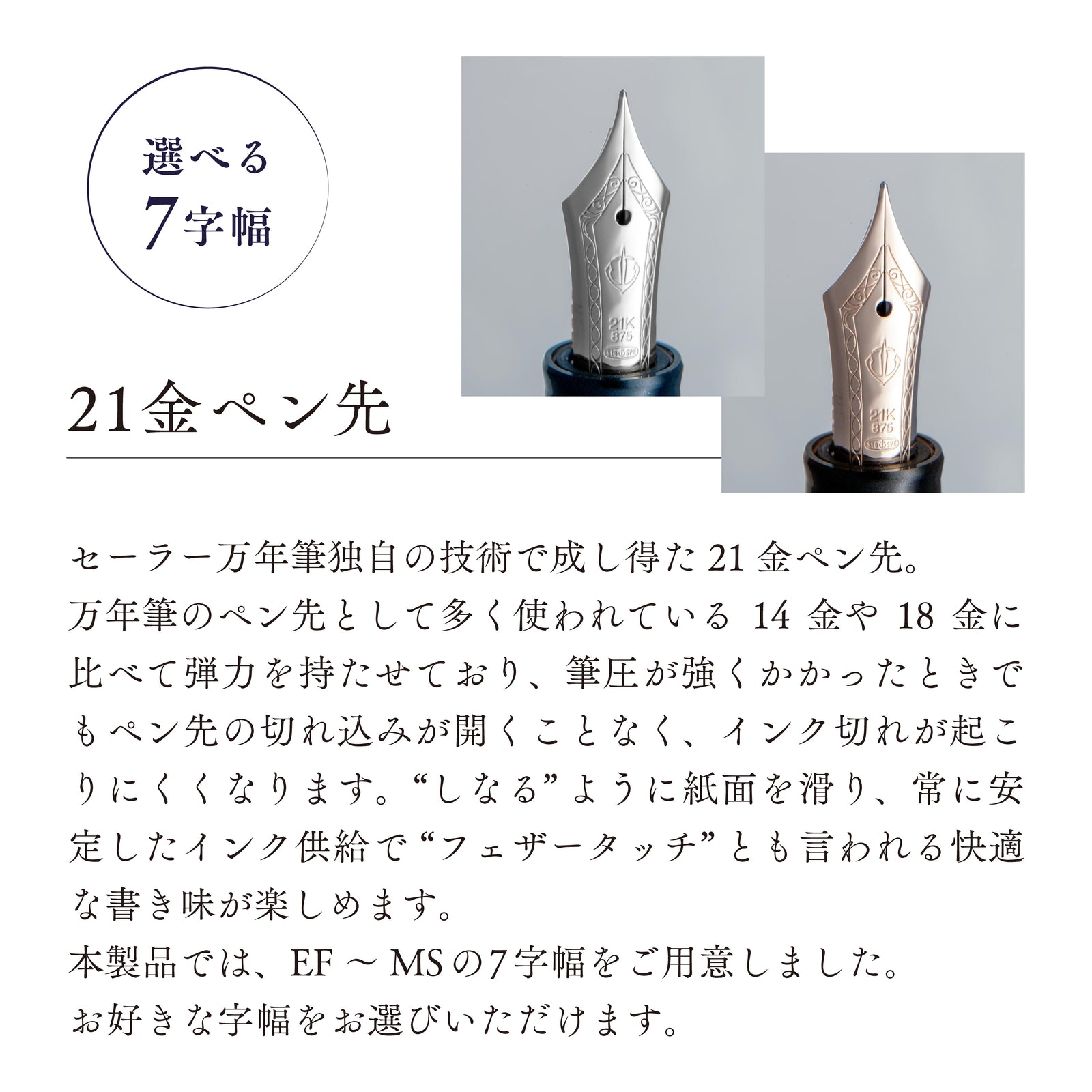 ヴェイリオ 万年筆 – セーラーショップ