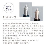 ヴェイリオ 万年筆