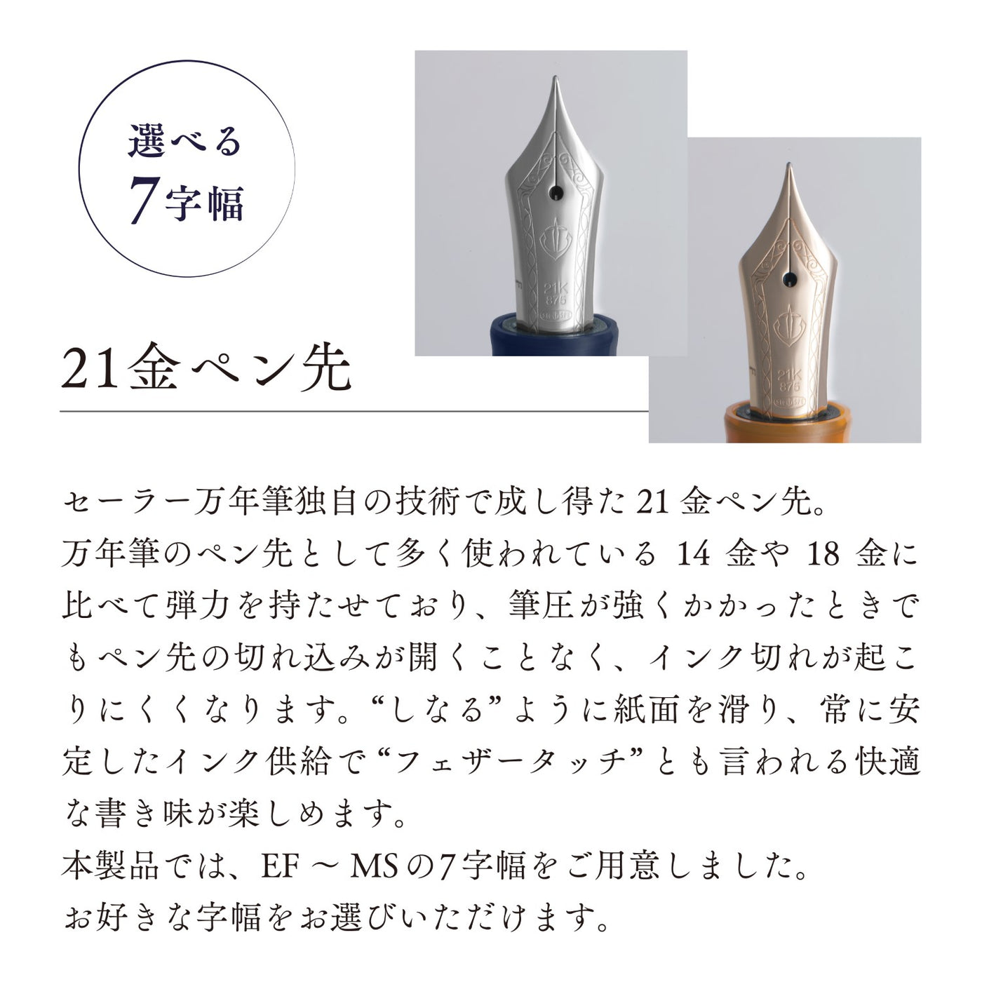 ヴェイリオ 万年筆 – セーラーショップ